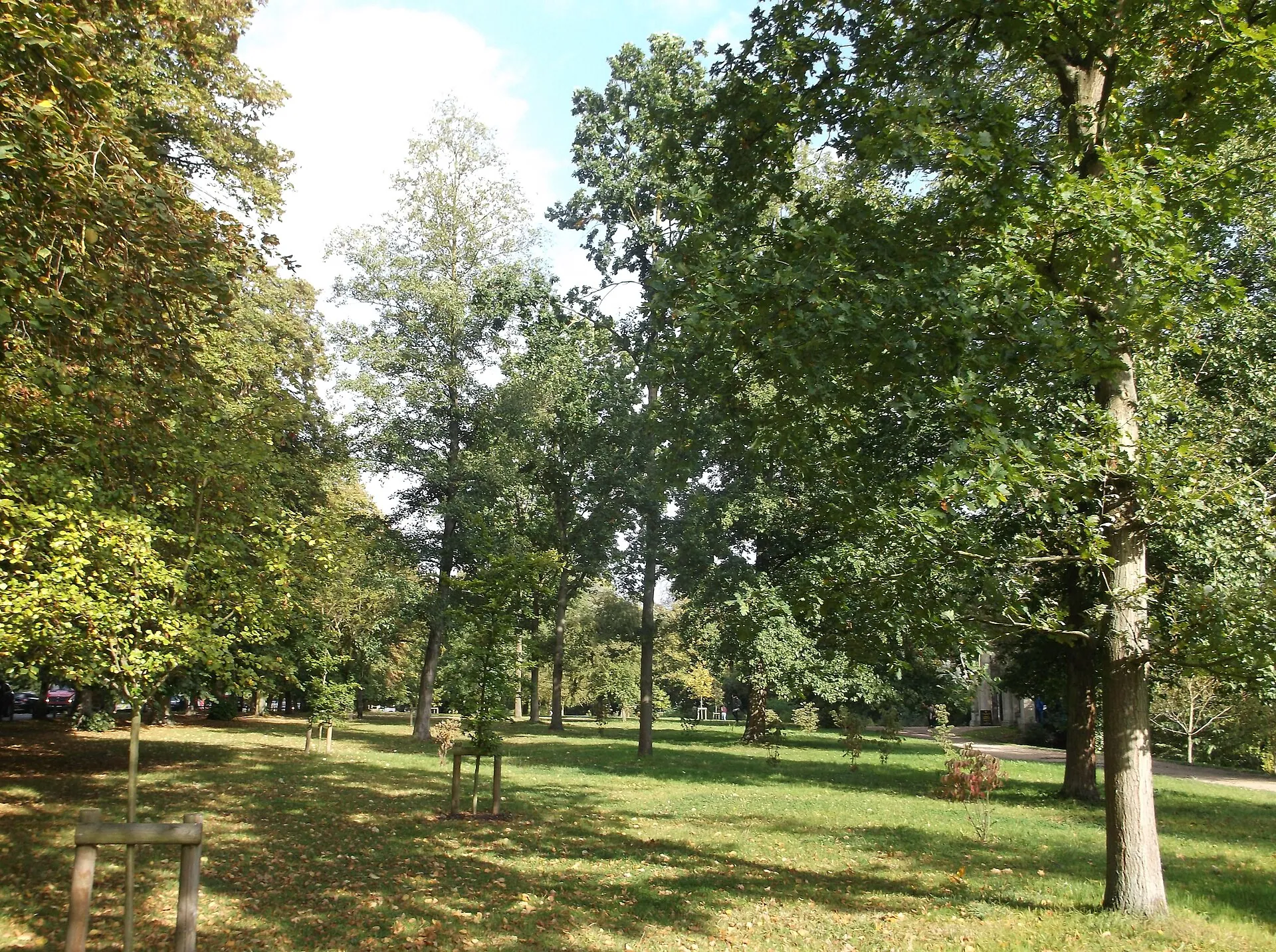 Trees and open lawns along the Backs beside the River Cam in Cambridge, England